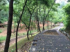 -蟠龙山长城景区