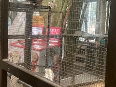 -南宫五洲植物乐园