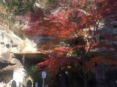 -松岛