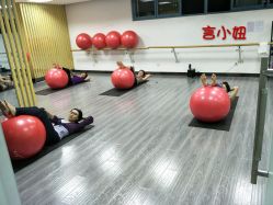 球型瑜伽体验课-榕树上·瑜伽普拉提