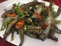 -蛇口康乐快餐鱼仔档(翠苑小区店)