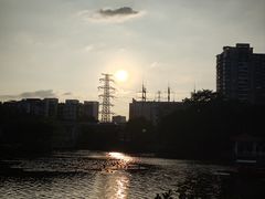 -荔湾湖公园