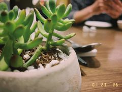 -佘山世茂艾美·御珍轩中餐厅