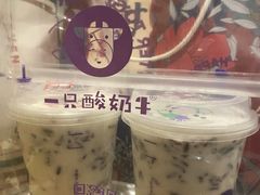 -一只酸奶牛(八一路店)