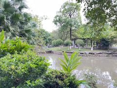 -广西壮族自治区药用植物园