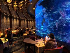 大堂-迪拜帆船酒店海底餐厅