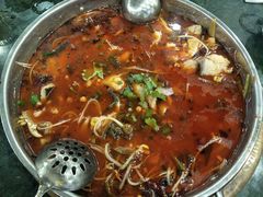 -重庆火锅水库鱼庄(南油店)