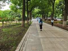 -上海鲜花港