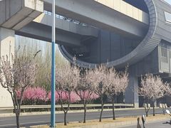 -首创奥特莱斯(北京店)