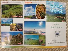 -百里天路