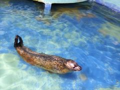 -中央电视塔旋转餐厅