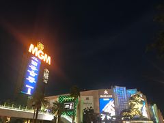 -拉斯维加斯O秀
