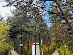 -帽儿山国家森林公园