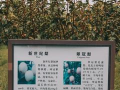 -宏泰园蔬果专业合作社