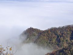 -西安祥峪森林公园