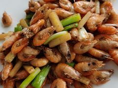 -云中小雅