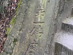-大金鹰园