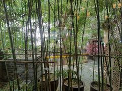 -一叶觅山(半边街店)