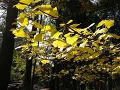 -胡桃里音乐酒馆(白云五号T5 MALL店)