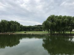 -银树楼(紫玉山庄东区店)