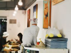 -Heymao猫咖.咖啡厅(东门店)