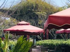 -荷风细雨·中国茶宴(碧云店)