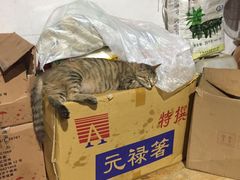 -夏大妈烧烤