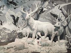 -中国湿地博物馆