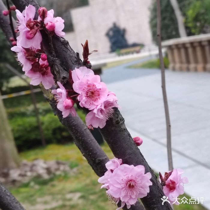 上海市龙华烈士陵园图片