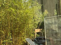 -凤阁楼果木烧鹅(鹤山陈山店)