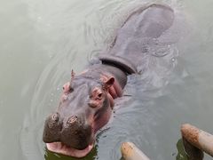 -杭州野生动物世界