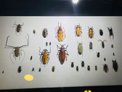 -燕莎友谊商城(亮马桥店)