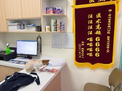 -全心全意连锁动物医院·特色中医诊疗(会城门分院)