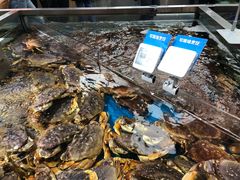 -盒马鲜生(大成店)
