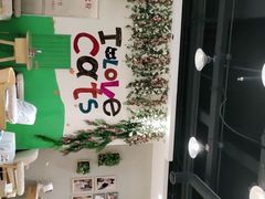 -藏猫猫咖啡主题馆(中央大道店)