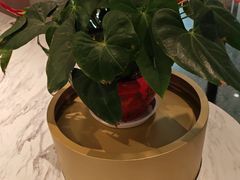 -康师傅私房牛肉面(申虹店)