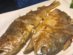 -萧邦音乐会所KTV(向西店)