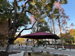 -J Create城市露营咖啡·简餐·宠物(上海动物园店)