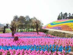 -都江堰玫瑰花溪谷