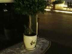 -梧桐餐厅(泉城路店)