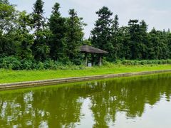 -金岛生态园烧烤露营地