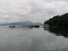 -金盆阿嬷香菇茶叶蛋(玄光店)