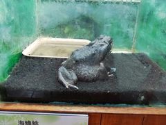 -上海大自然野生昆虫馆