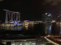 -新加坡文华东方酒店