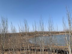 -东郊湿地公园