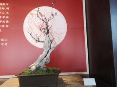 -颐和园