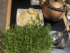 -番食园鲜食火锅(高新店)