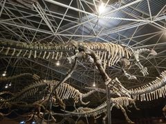 -世界恐龙谷景区