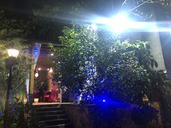 -先机泉水鸡汤(南山老君洞店)