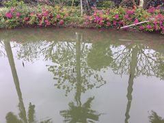 -花溪雨·森林餐厅(石基店)
